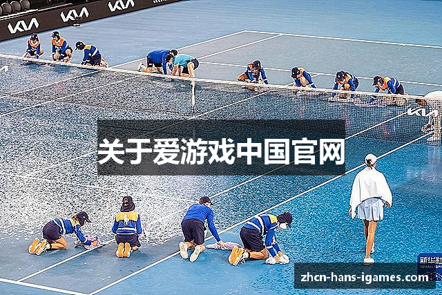 关于爱游戏中国官网